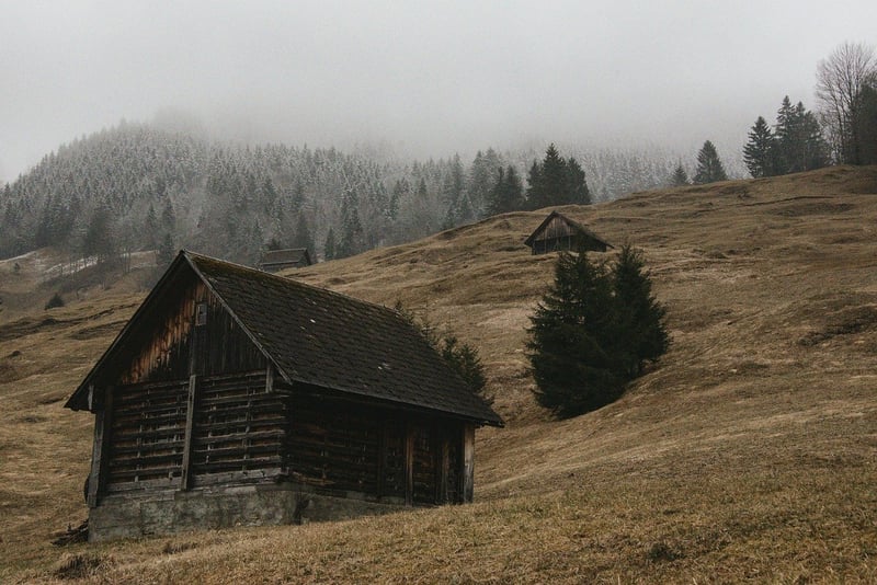 Rustic Cabins